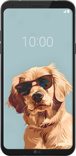 Силіконовий чехол Пес в очках для LG Q6 - 6381u-1094 изображение 