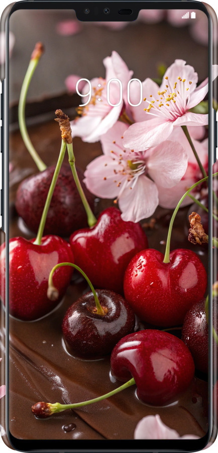 3D пластиковый матовый чехол Вишня в шоколаде для LG V40 ThinQ - 6698m-1577 изображение 