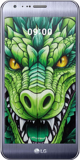 Силиконовый чехол Зелёный дракон для LG X Cam K580 - 5816u-1028 изображение 
