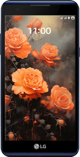 Силиконовый чехол Оранжевые розы для LG X Power K220DS - 5944u-398 изображение 