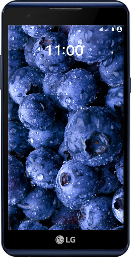 Силіконовий чехол Лохина для LG X Power K220DS - 4459u-398 изображение 
