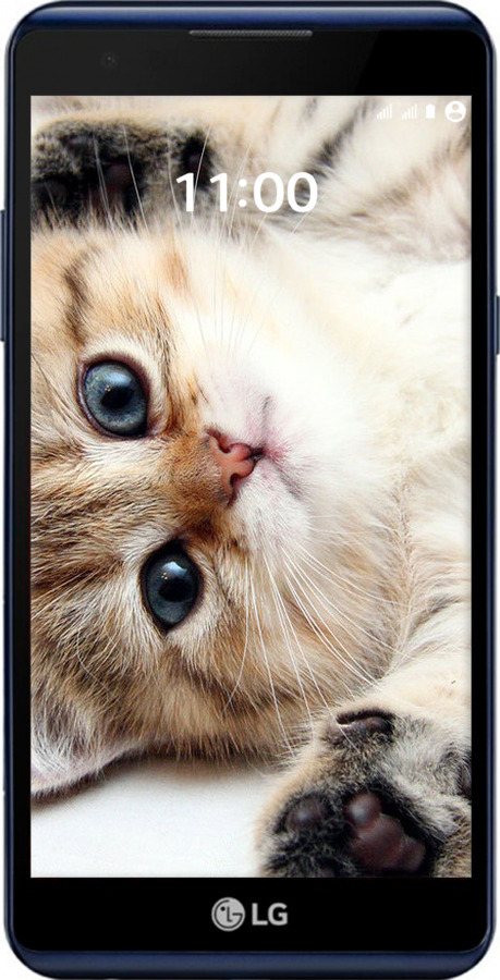 Силиконовый чехол Котик для LG X Power K220DS - 6024u-398 изображение 