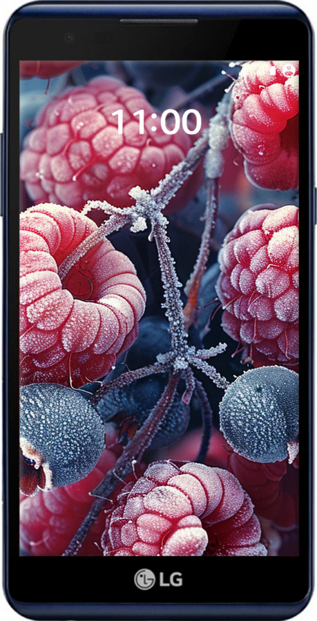 Силиконовый чехол Морозные ягоды для LG X Power K220DS - 6033u-398 изображение 