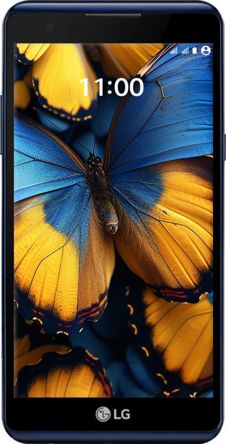 Силиконовый чехол Желто-голубые бабочки для LG X Power K220DS - 6046u-398 изображение 