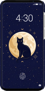 3D пластиковий матовий чехол Cute Cat Celestial/Witchy для Meizu 16S - 6787m-1701 изображение 