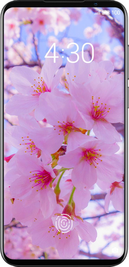 Силіконовий чехол Сакура для Meizu 16S - 6029u-1701 изображение 