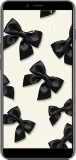 Силиконовый чехол Dark Coquette для Meizu E3 - 6765u-1518 изображение 