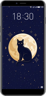 Силиконовый чехол Cute Cat Celestial/Witchy для Meizu E3 - 6787u-1518 изображение 