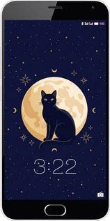 2D пластиковый чехол Cute Cat Celestial/Witchy для Meizu M2 Note - 6787t-94 изображение 