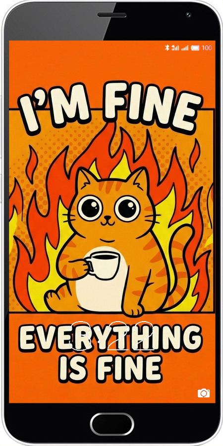 2D пластиковый чехол Funny Cat для Meizu M2 Note - 6786t-94 изображение 