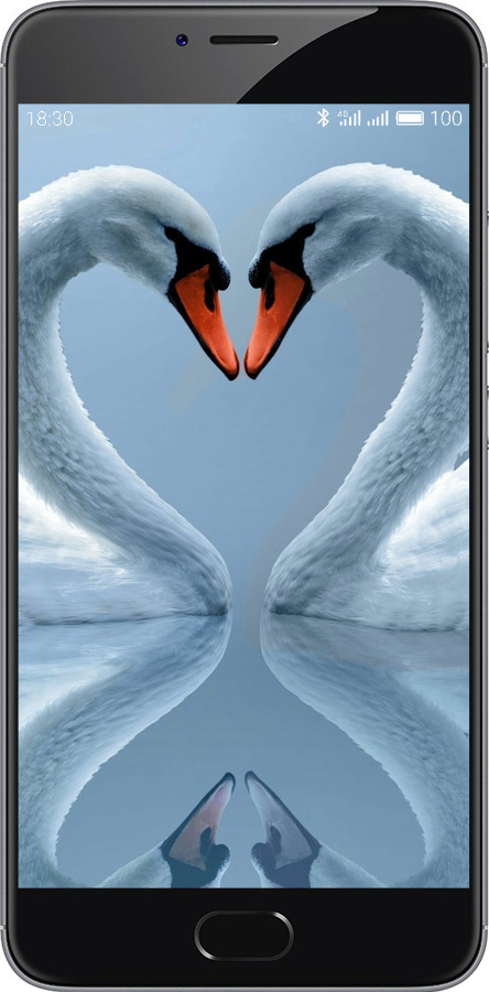 Силиконовый чехол Лебеди для Meizu M3 Note - 6007u-256 изображение 