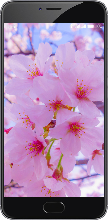 Силиконовый чехол Сакура для Meizu M3 Note - 6029u-256 изображение 