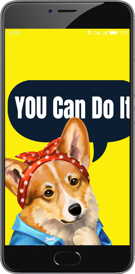 2D пластиковий чехол чехол с корги You Can Do It для Meizu M3 Note - 6184t-256 изображение 