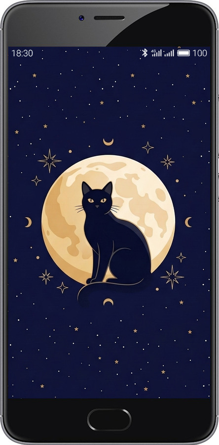 2D пластиковий чехол Cute Cat Celestial/Witchy для Meizu M3 Note - 6787t-256 изображение 