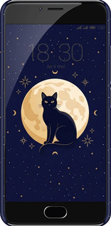 3D пластиковий матовий чехол Cute Cat Celestial/Witchy для Meizu M3 - 6787m-272 изображение 