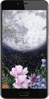 2D пластиковый чехол Полночь в саду для Meizu M3 - 6259t-272 изображение 