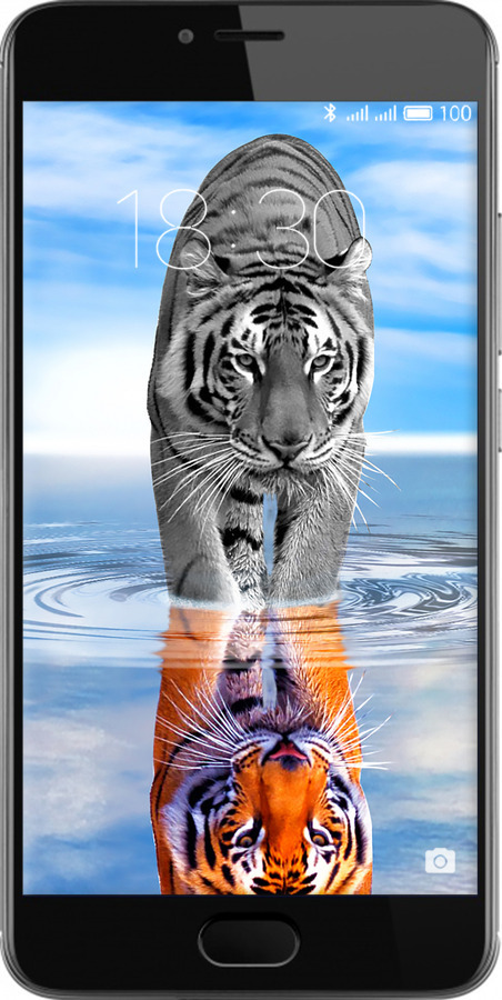2D пластиковый чехол Тигр для Meizu M3 - 6016t-272 изображение 