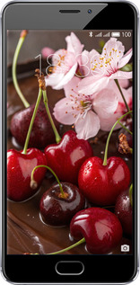 2D пластиковый чехол Вишня в шоколаде для Meizu M5 Note - 6698t-447 изображение 
