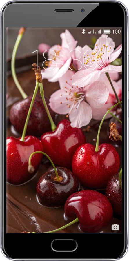 2D пластиковый чехол Вишня в шоколаде для Meizu M5 Note - 6698t-447 изображение 