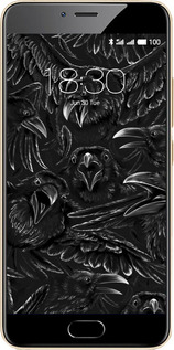 2D пластиковый чехол Воронья ярость для Meizu M5 - 6474t-420 изображение 