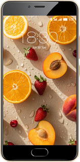 2D пластиковый чехол Фрукты 3 для Meizu M5 - 6703t-420 изображение 