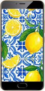 2D пластиковый чехол Grocery Girl Italian Summer для Meizu M5 - 6766t-420 изображение 