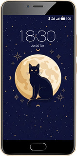 2D пластиковый чехол Cute Cat Celestial/Witchy для Meizu M5 - 6787t-420 изображение 