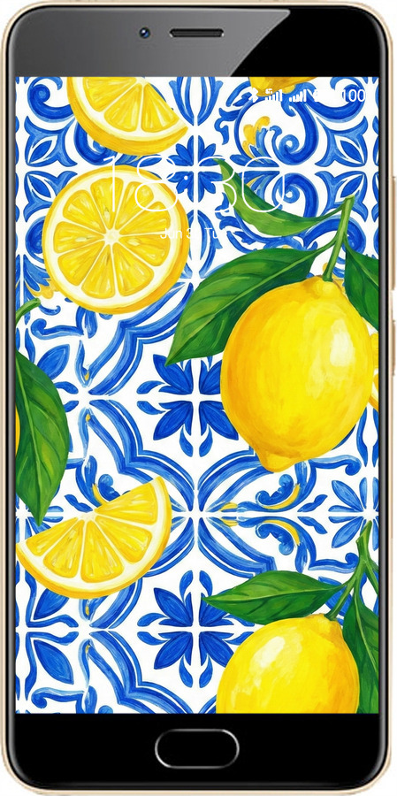 2D пластиковый чехол Grocery Girl Italian Summer для Meizu M5 - 6766t-420 изображение 