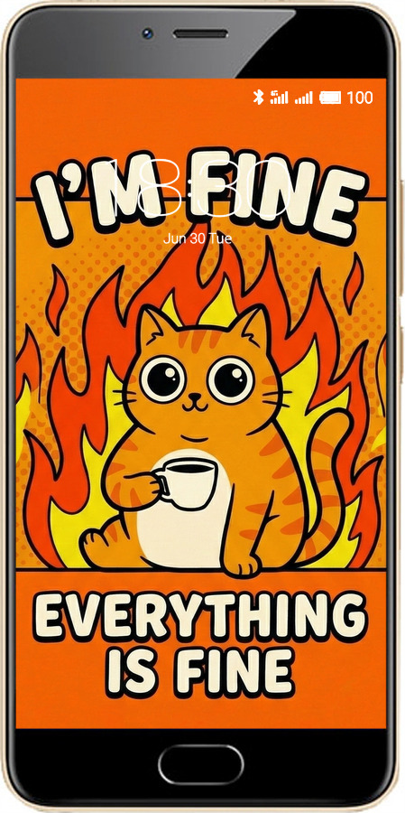 2D пластиковый чехол Funny Cat для Meizu M5 - 6786t-420 изображение 