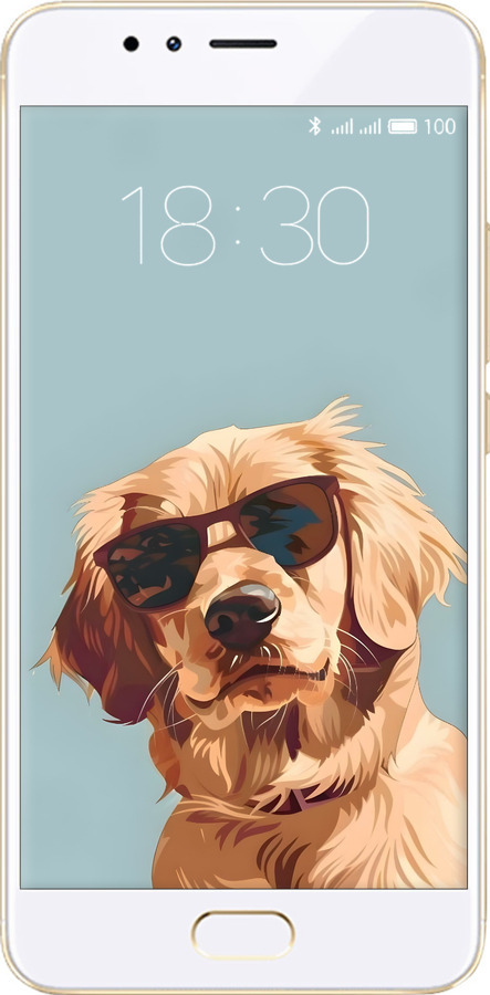 Силіконовий чехол Пес в очках для Meizu M5s - 6381u-776 изображение 
