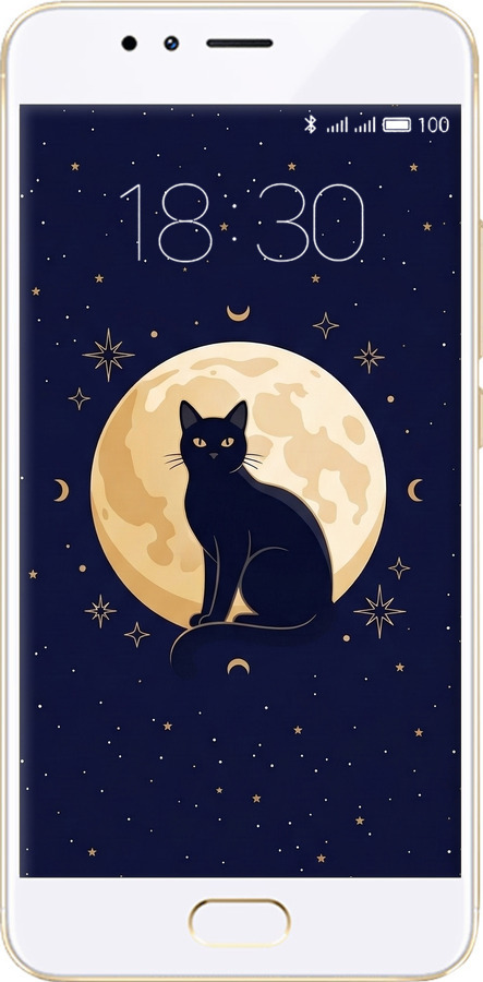 Силиконовый чехол Cute Cat Celestial/Witchy для Meizu M5s - 6787u-776 изображение 