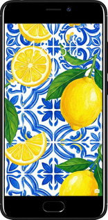 2D пластиковий чехол Grocery Girl Italian Summer для Meizu M6 - 6766t-1349 изображение 