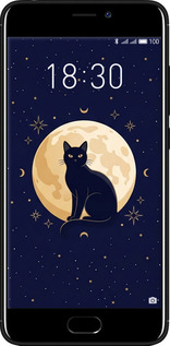 2D пластиковий чехол Cute Cat Celestial/Witchy для Meizu M6 - 6787t-1349 изображение 