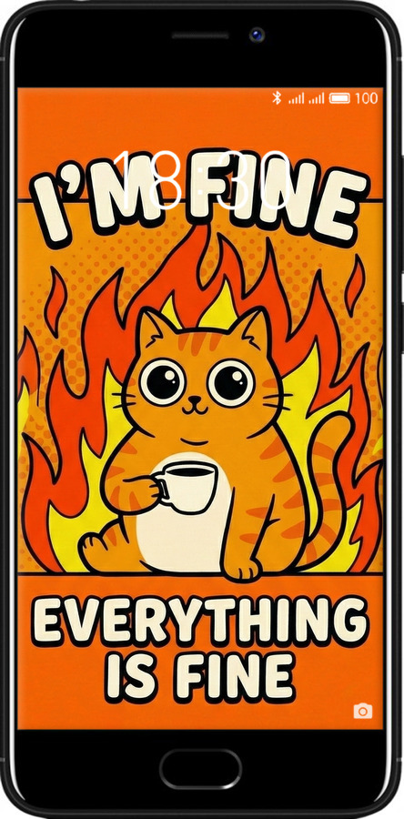 2D пластиковий чехол Funny Cat для Meizu M6 - 6786t-1349 изображение 