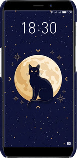 3D пластиковый матовый чехол Cute Cat Celestial/Witchy для Meizu M6s - 6787m-1364 изображение 