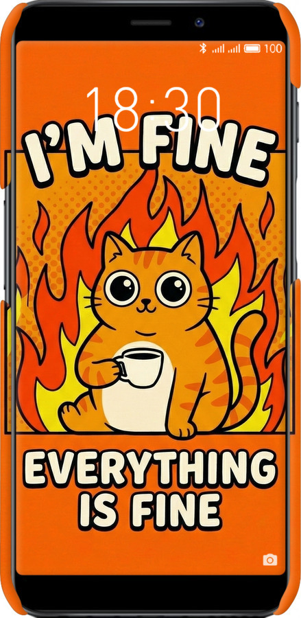 3D пластиковый матовый чехол Funny Cat для Meizu M6s - 6786m-1364 изображение 