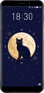 Силиконовый чехол Cute Cat Celestial/Witchy для Meizu M6s - 6787u-1364 изображение 