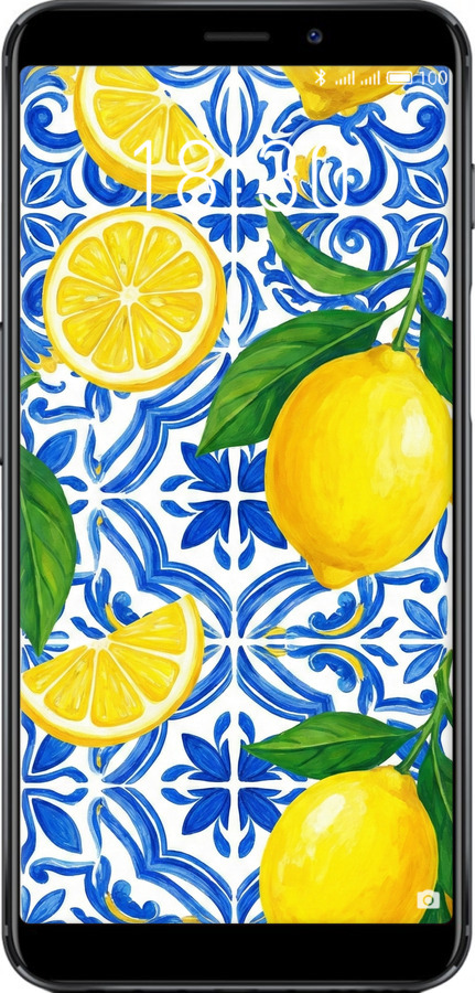 Силіконовий чехол Grocery Girl Italian Summer для Meizu M6s - 6766u-1364 изображение 