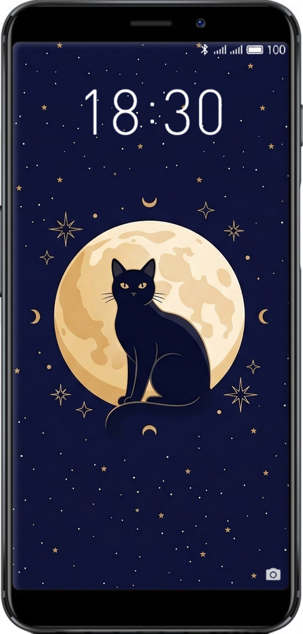 Силиконовый чехол Cute Cat Celestial/Witchy для Meizu M6s - 6787u-1364 изображение 