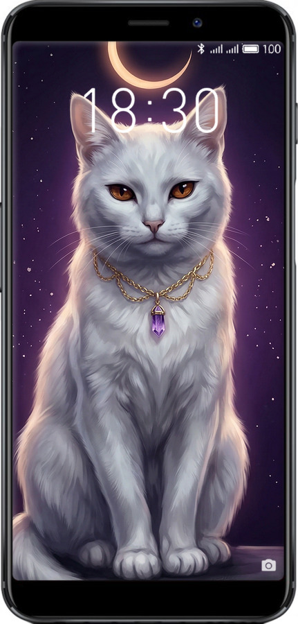 Силиконовый чехол Mystic White Cat Gothic Dark Purple Gold для Meizu M6s - 6805u-1364 изображение 