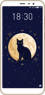Силиконовый чехол Cute Cat Celestial/Witchy для Meizu M6T - 6787u-1536 изображение 