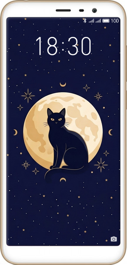 Силиконовый чехол Cute Cat Celestial/Witchy для Meizu M6T - 6787u-1536 изображение 