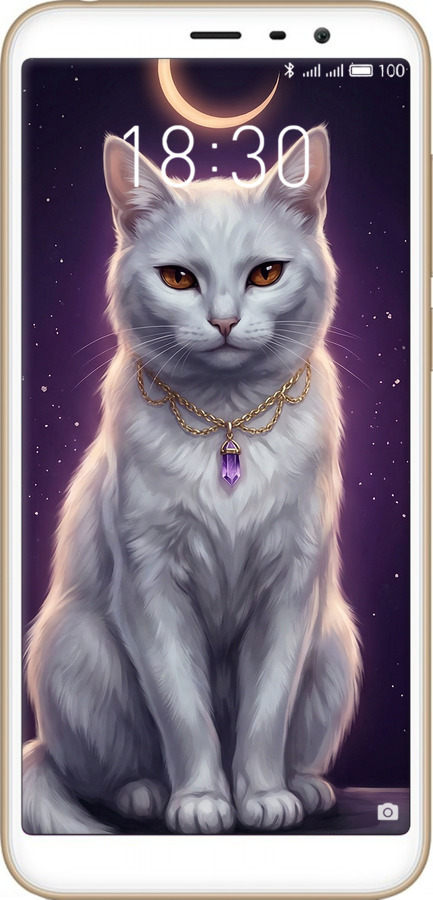 Силиконовый чехол Mystic White Cat Gothic Dark Purple Gold для Meizu M6T - 6805u-1536 изображение 