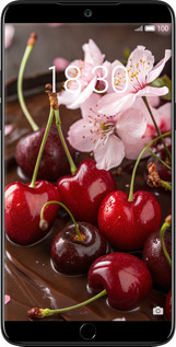 Силиконовый чехол Вишня в шоколаде для Meizu 15 - 6698u-1472 изображение 