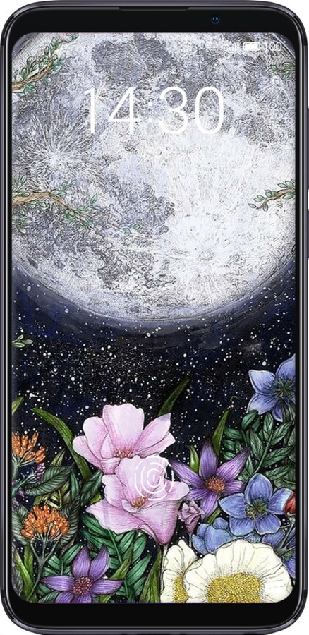 Силиконовый чехол Полночь в саду II для Meizu 16 - 6424u-1739 изображение 