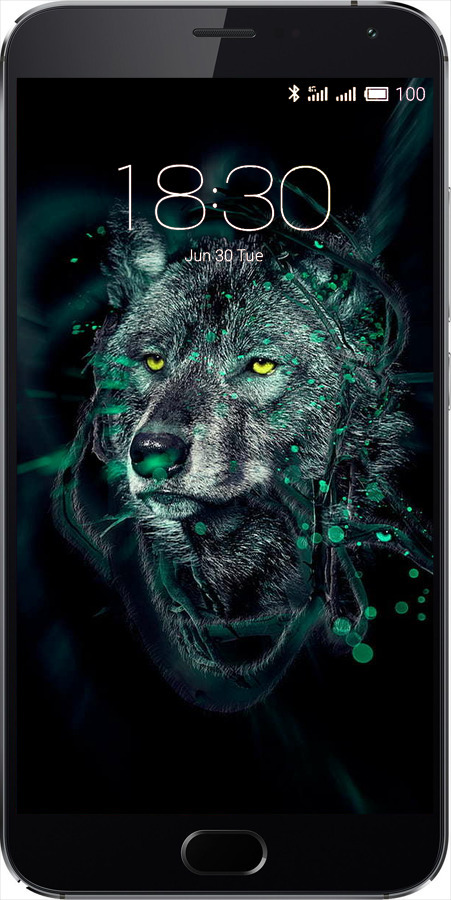 2D пластиковый чехол Wolf для Meizu MX5 - 6610t-105 изображение 