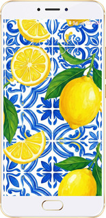 2D пластиковый чехол Grocery Girl Italian Summer для Meizu MX6 - 6766t-259 изображение 