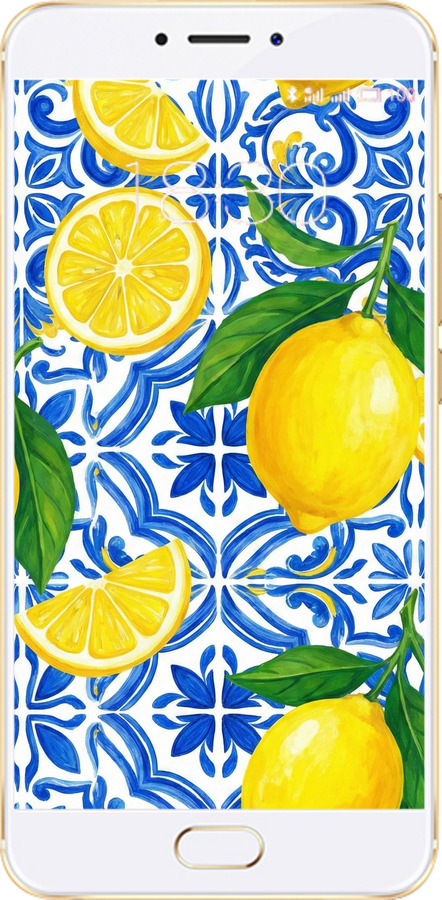 2D пластиковый чехол Grocery Girl Italian Summer для Meizu MX6 - 6766t-259 изображение 