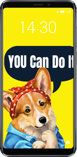 Силіконовий чехол чехол с корги You Can Do It для Meizu Note 8 - 6184u-1610 изображение 