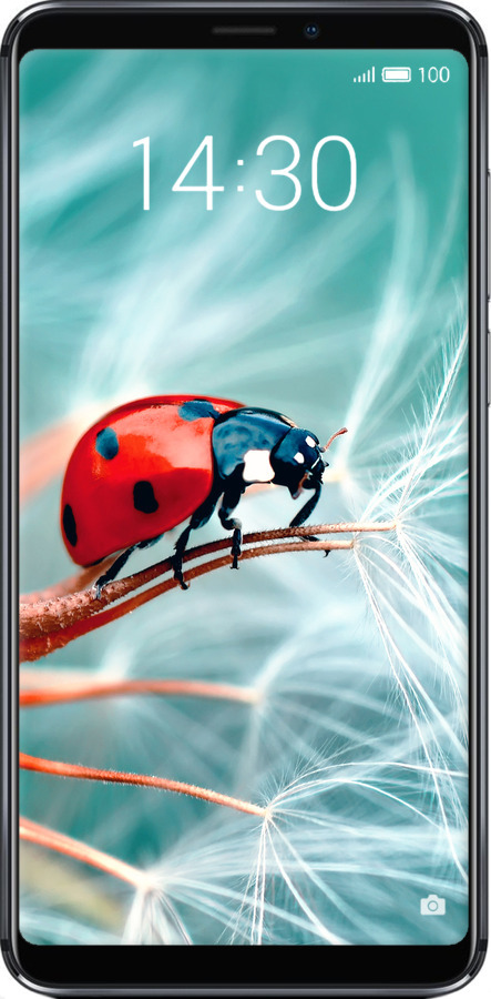 Силиконовый чехол Божья коровка для Meizu Note 8 - 6049u-1610 изображение 